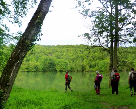 PXL006 L'endroit idéal pour le pique-nique du soir