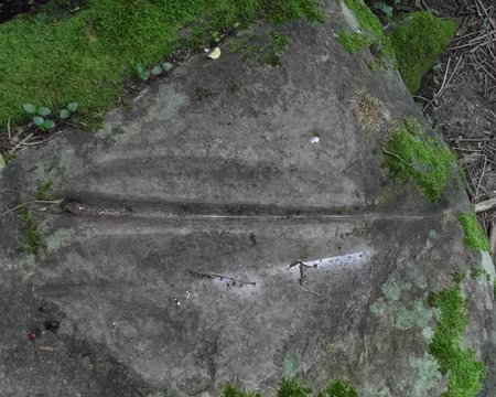 PXL013z1207 polissoir de villeconin