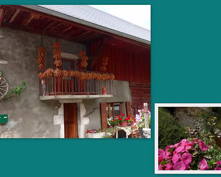 PXL003 Régimes de maïs !