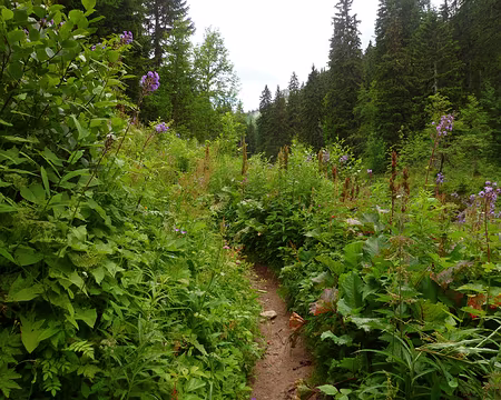 PXL010 Changement de décor