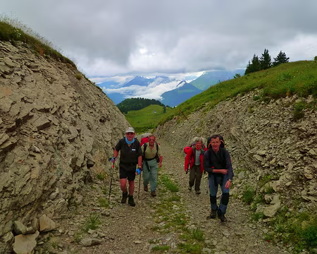 PXL022 Ils sont en forme, ça promet !
