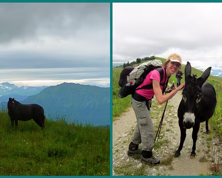 PXL023 La blonde s'acharne toujours à parler aux animaux et attend des réponses, c'est ça le plus triste :o)