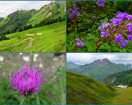 PXL024 mais elle ne parle pas encore aux fleurs ...