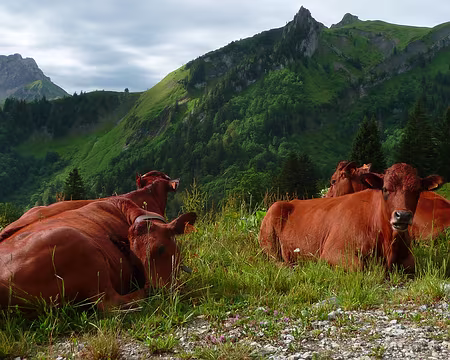 PXL026 Cool, c'était juste un gros nuage !