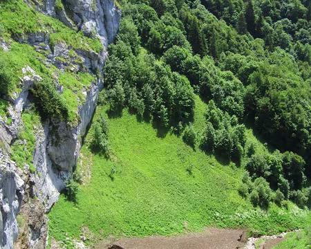 PXL072 Névé persistant