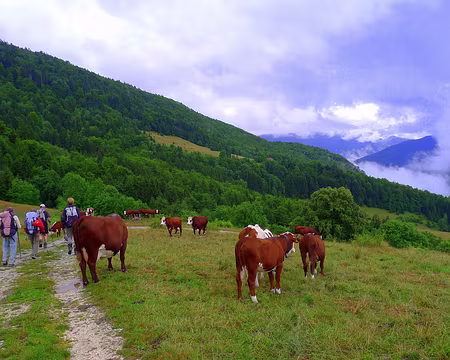 PXL080 Dimanche 15 juillet : en route pour le Mont Julioz