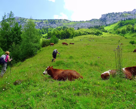 PXL091 Direction Les Ailes du Nant pour un déjeuner familial