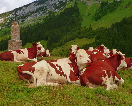 PXL099 Tu sais qu'je t'aime toi !