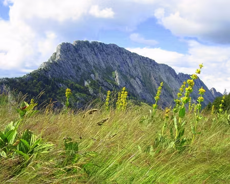 PXL103 Le Roc des Boeufs