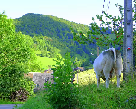 PXL106 Lundi 16 juillet : départ de Bellecombe-en-Bauges, au hameau 