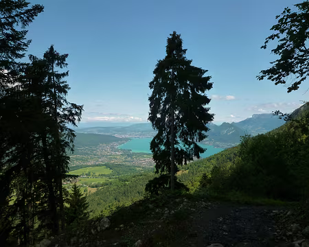 PXL119 Coupez-moi ça !