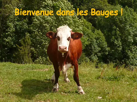 2012-07 Bauges