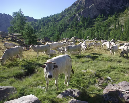La vallée de Fontanalbe La vallée de Fontanalbe