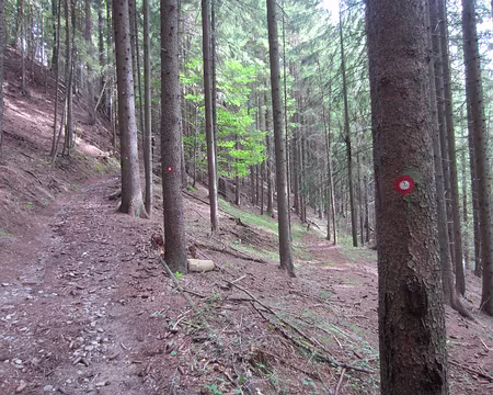 PXL023 excès de balisage ou début de rougeole...