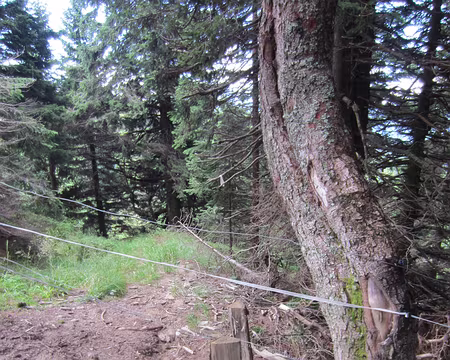 PXL026 passage pédestre