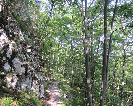 PXL056 sentier surplombant la rivière Zavrsnica