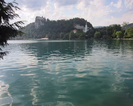 PXL064 le site de Bled