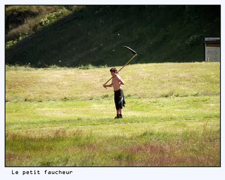 PXL152 le petit faucheur