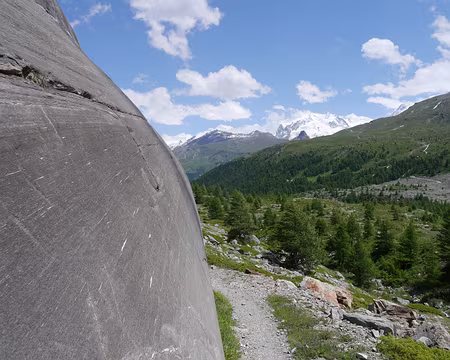 P1000904 Le mont rose en toile de fond