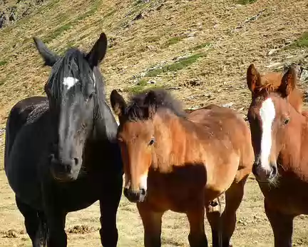 PXL032 Mauvais garçons au col de Sellente