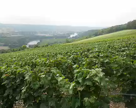 PXL007 La Marne et le début du vignoble champenois à Nanteuil-sur-Marne