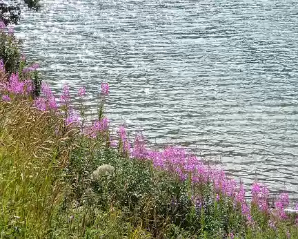 PXL032 Les rives fleuries du lac.
