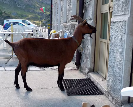 PXL034 4ème jour. Alors les cafistes, vous sortez ? C'est l'heure de partir !
