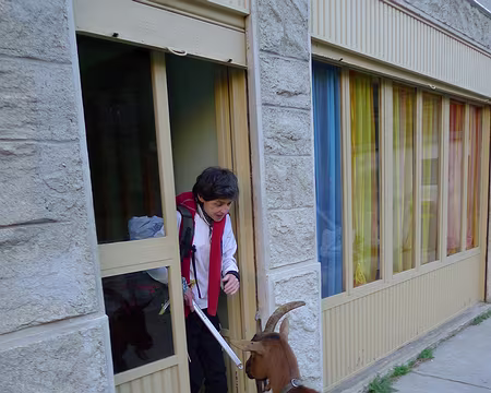 PXL035 Ah ça y est ! Dépêchez-vous, parce que...