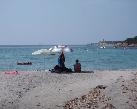 PXL013 Tour d'Olmeto au loin