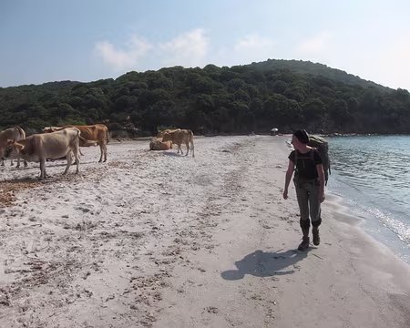 PXL014 Plage de Furnellu