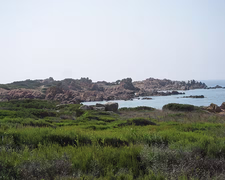 PXL018 Mucchiu Biancu