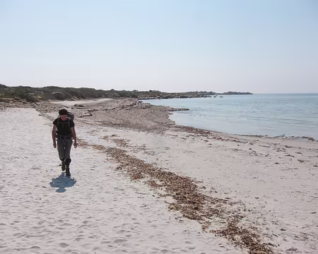 PXL019 Mucchiu Biancu