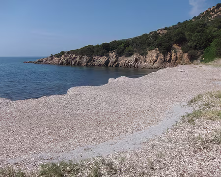 PXL020 Posidonies en bas de Mariola