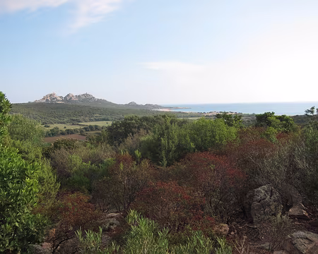 PXL029 Domaine de Murtoli, vers la tour de Roccapina