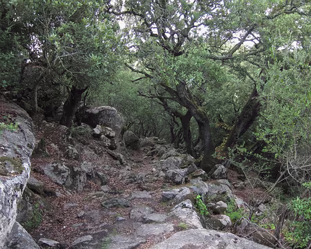 PXL031 Vieux sentier vers Renaju