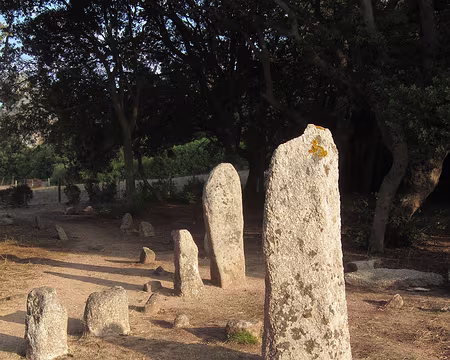 PXL032 Alignement redressé de Renaju