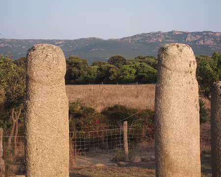 PXL035 Anthropomorphe (visages de l'autre côté) et phallique