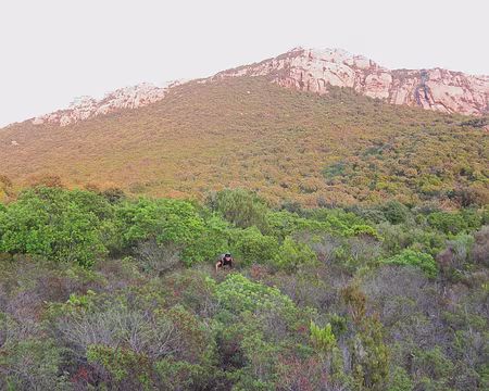 PXL038 Randonneuse dans le maquis