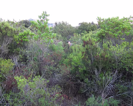 PXL039 Oui, c'est tout droit