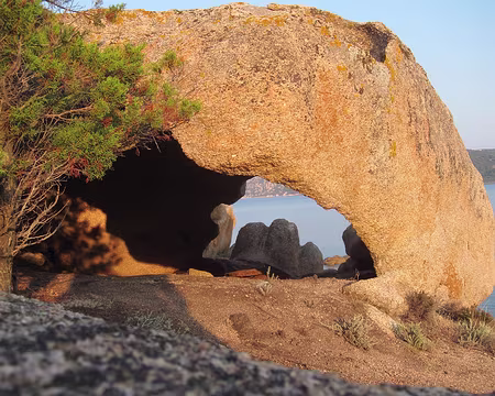 PXL042 Abri pour une personne