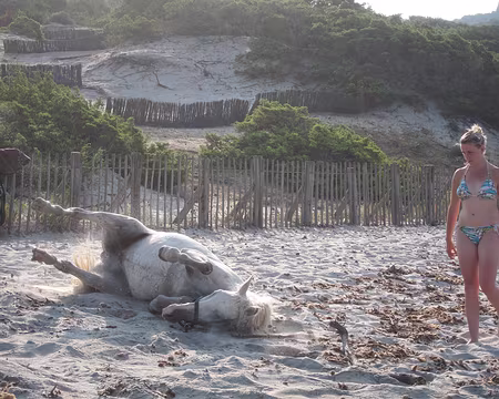 PXL048 Détente sur la plage d'Argent