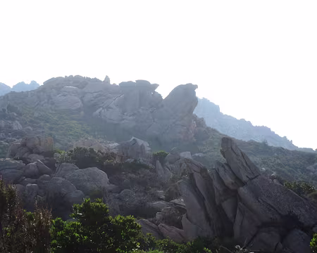 PXL088 Volatiles de granit sur le Capo di Feno