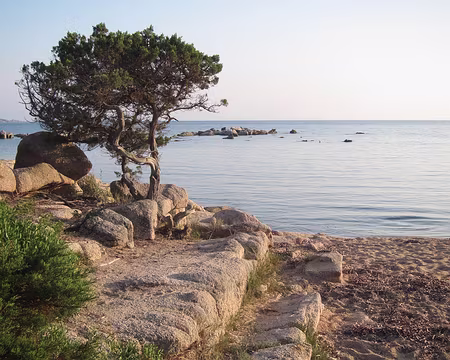 PXL105 Salon naturel dans une des innombrables criques de Ventilegne