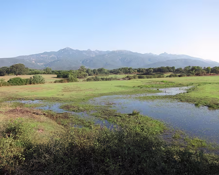 PXL114 Plaine entre Figari et Poggiale