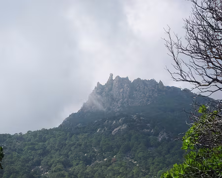 PXL120 Le fameux Omu di Cagna