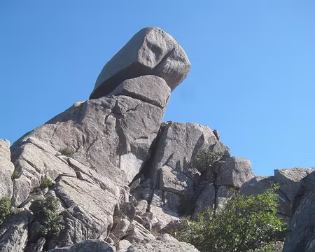 PXL131 Encore un Omu, celui d'Ovace