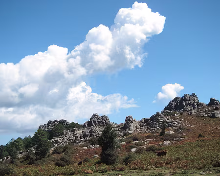 PXL136 Plateau du Monaco, vers l'Omu di Cagna