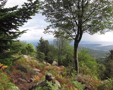 PXL144 Baie de Figari à droite