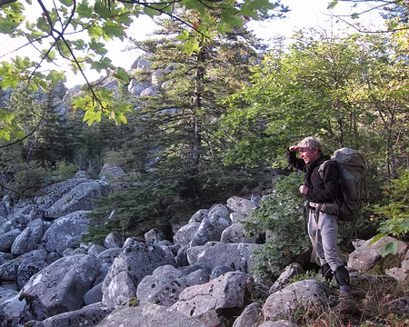 PXL147 J8 - Perplexité passagère