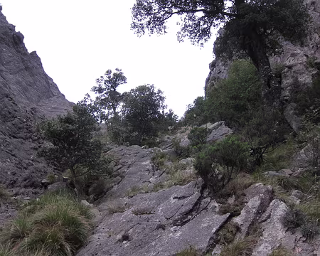 PXL165 Cherchez la randonneuse en haut du couloir descendant de la Punta Chantata vers le col de Ferula